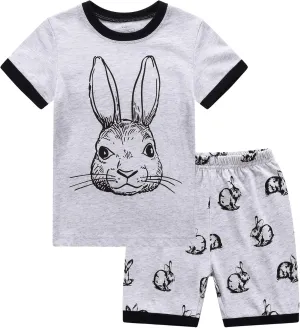 RKOIAN Little Boys Short Sleeve Pajamas Sets Toddler 100% Cotton Pjs Kids Sleepwears